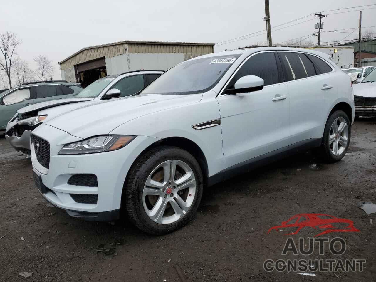 JAGUAR F-PACE 2017 - SADCK2BV8HA898319
