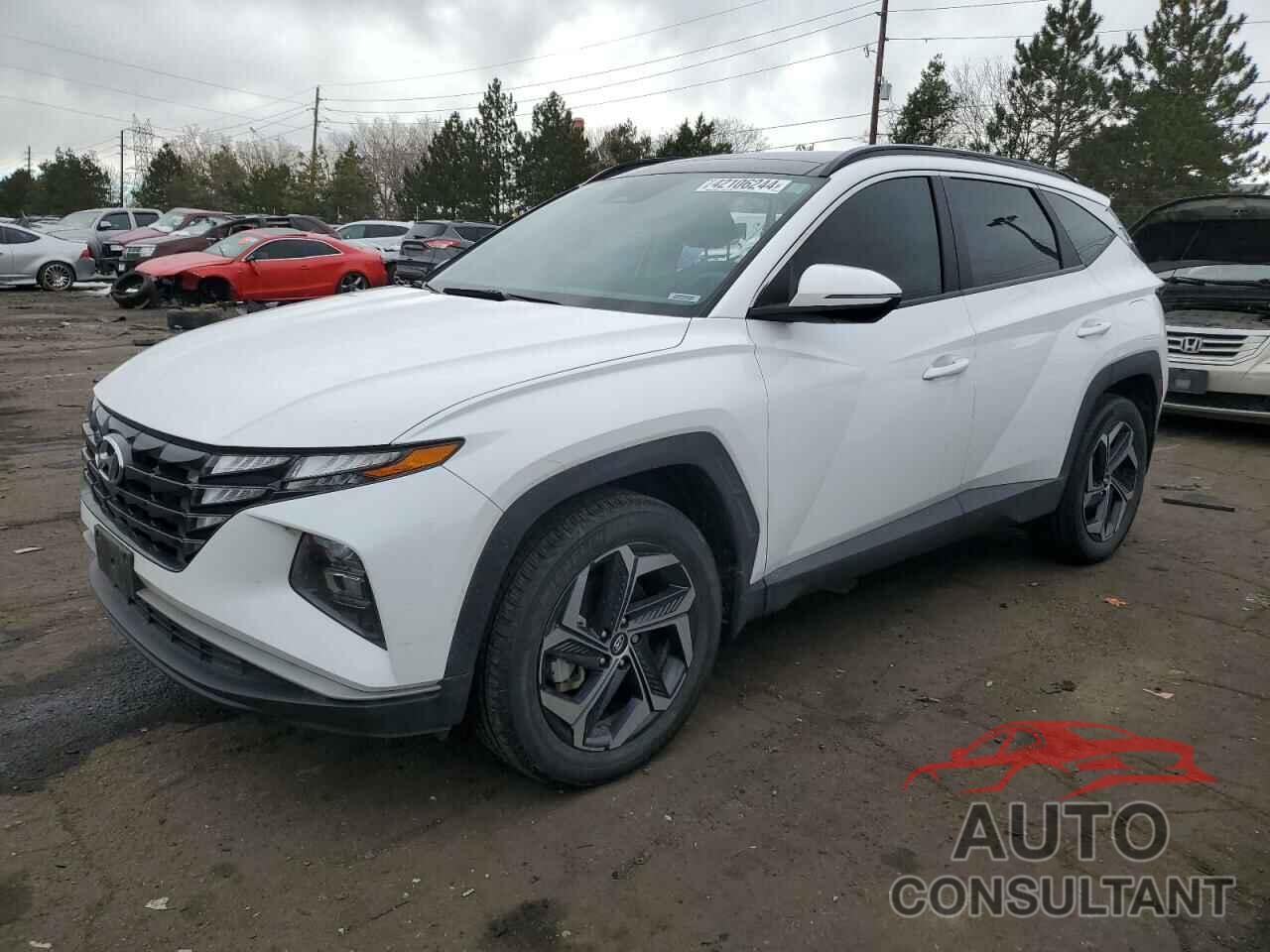 HYUNDAI TUCSON 2022 - KM8JFCA18NU045310