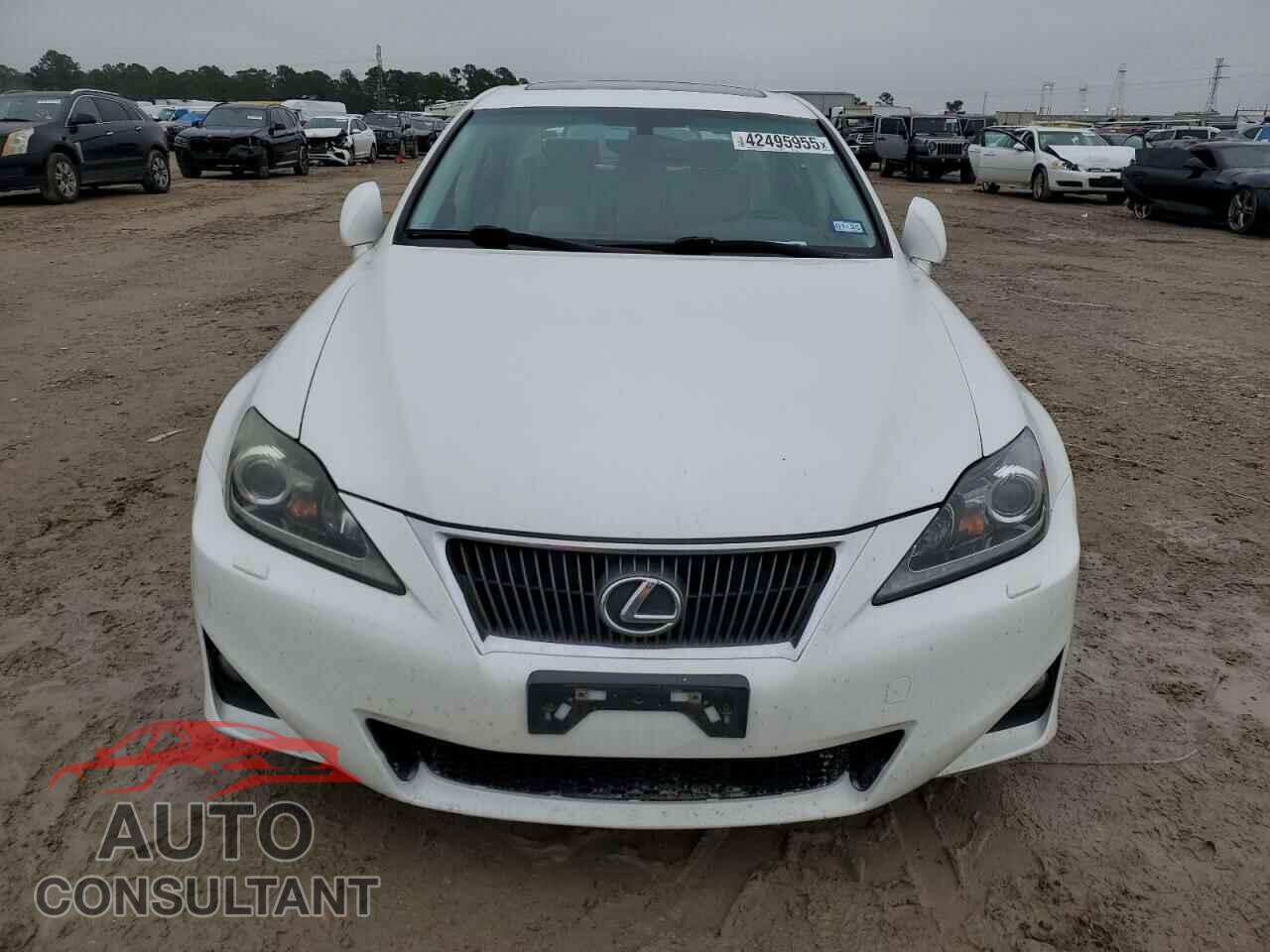 LEXUS IS 2012 - JTHBE5C26C5030856