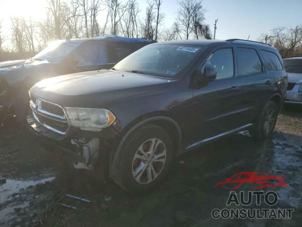 DODGE DURANGO 2011 - 1D4RE4GG1BC667201