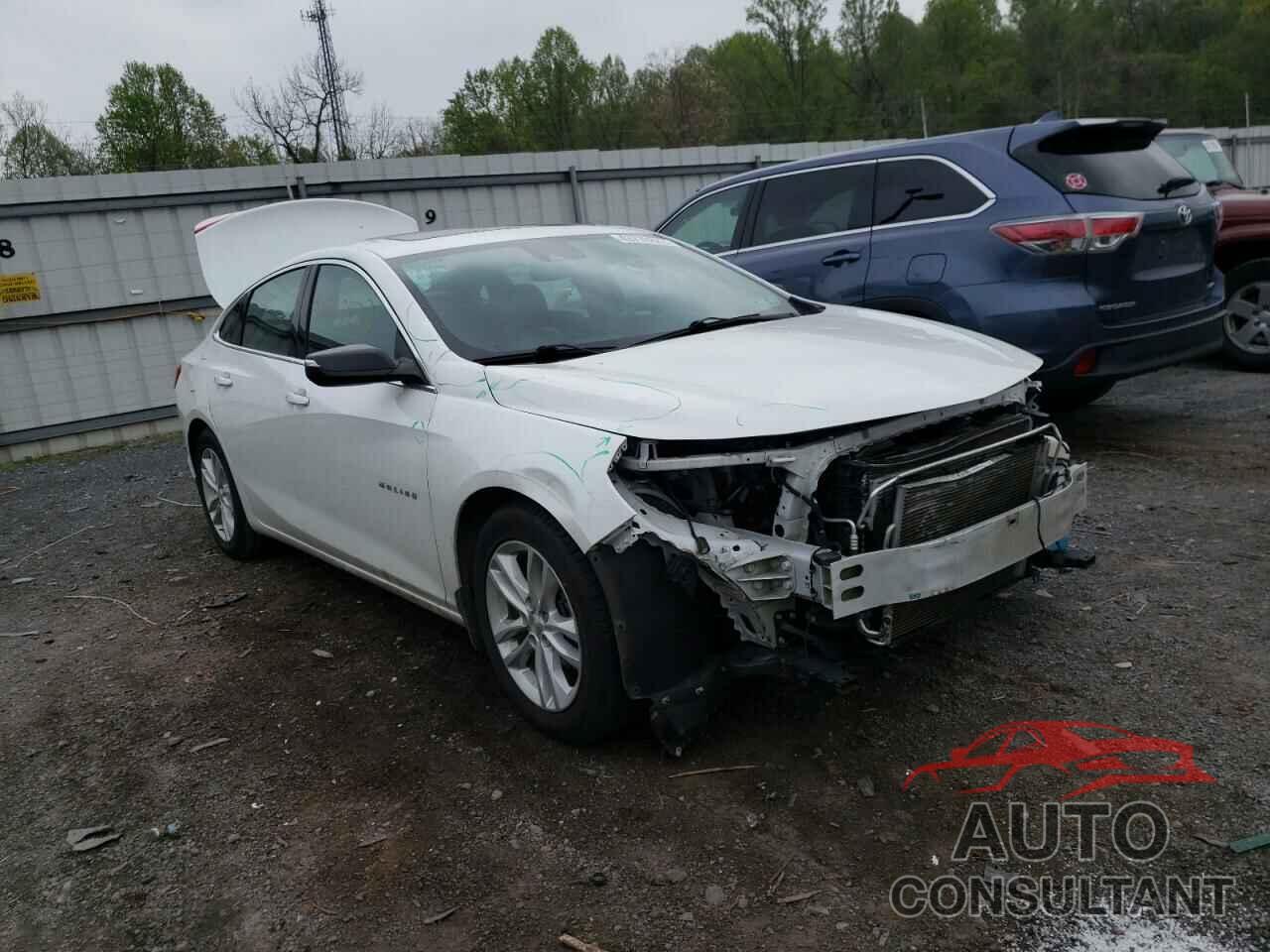 CHEVROLET MALIBU 2016 - 1G1ZJ5SU9GF309838