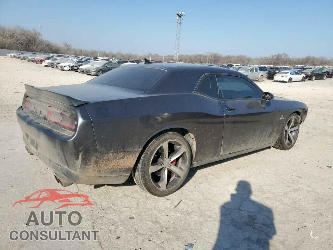 DODGE CHALLENGER 2016 - 2C3CDZBT8GH142961