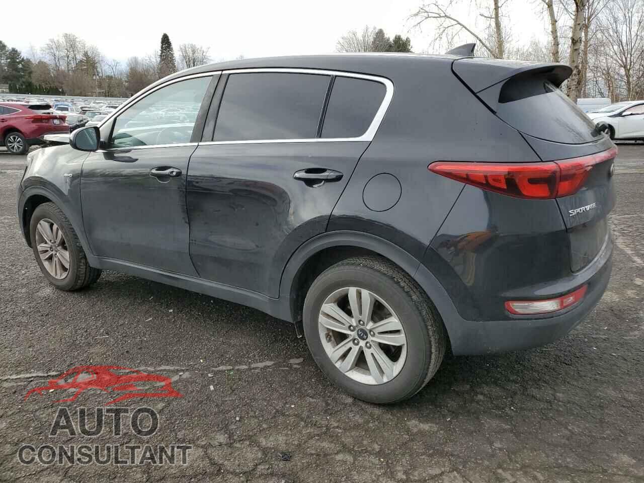 KIA SPORTAGE 2017 - KNDPMCAC4H7066227