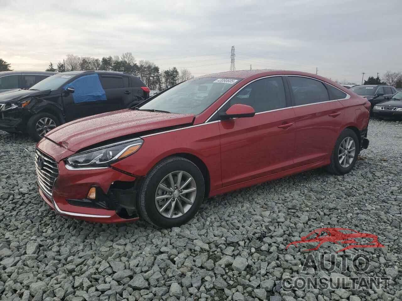 HYUNDAI SONATA 2019 - 5NPE24AFXKH735195