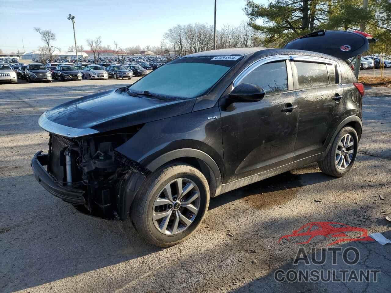 KIA SPORTAGE 2016 - KNDPBCAC9G7822106