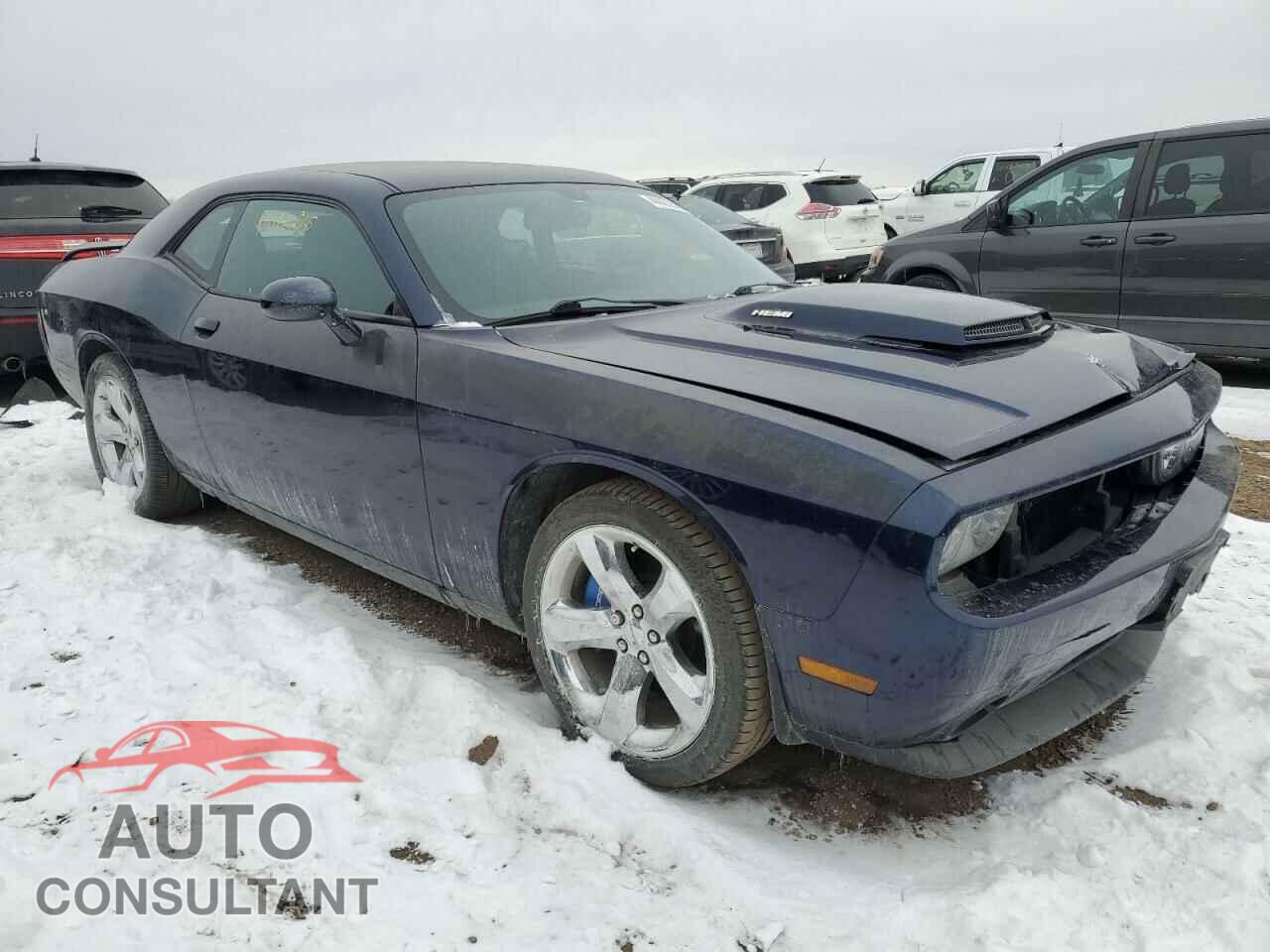 DODGE CHALLENGER 2014 - 2C3CDYBTXEH205467