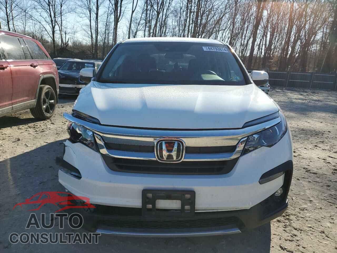 HONDA PILOT 2021 - 5FNYF6H39MB092283