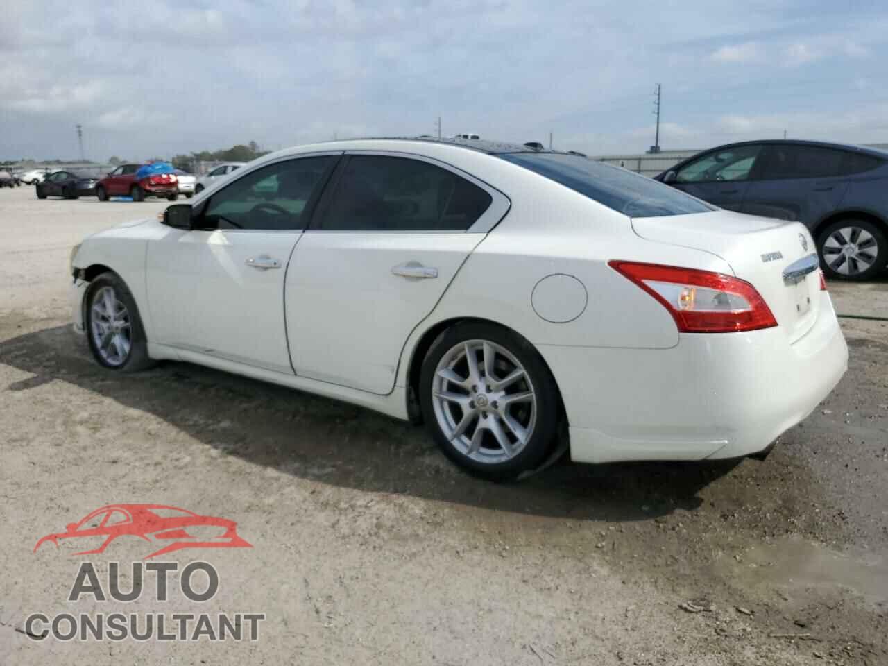 NISSAN MAXIMA 2009 - 1N4AA51E49C845623