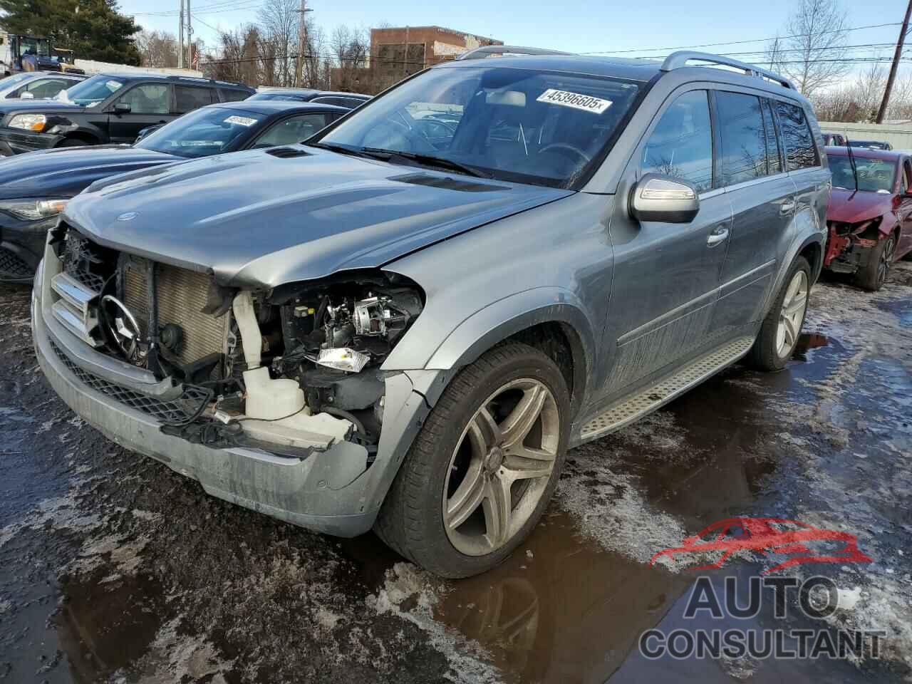 MERCEDES-BENZ GL-CLASS 2010 - 4JGBF8GE4AA620994