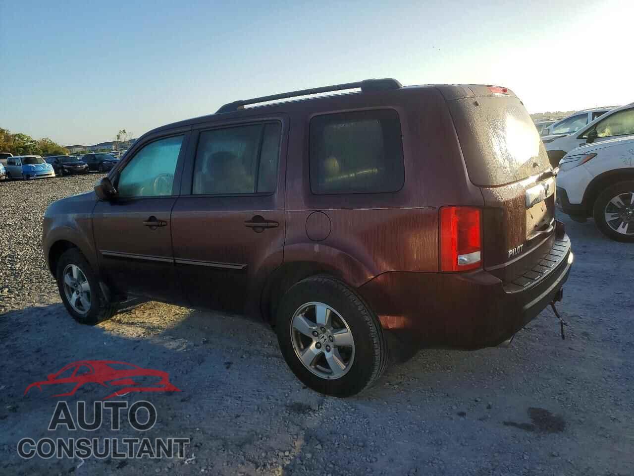 HONDA PILOT 2009 - 5FNYF38579B001020