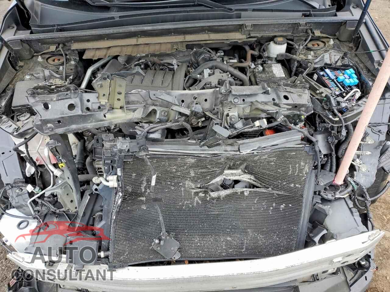 LEXUS UNKNOWN 2023 - 2T2GGCEZ0PC028105