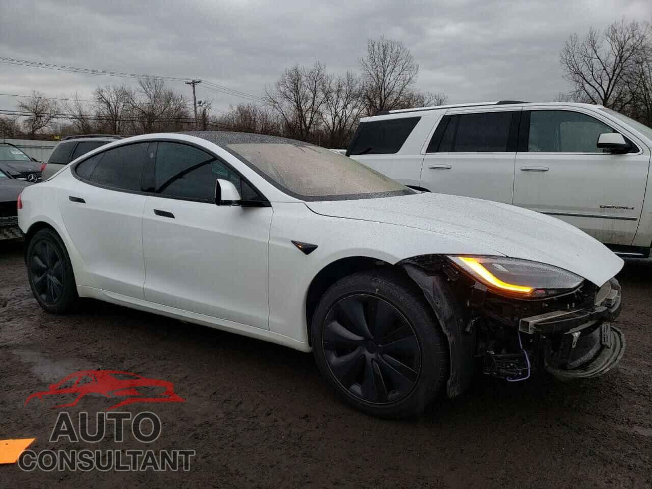 TESLA MODEL S 2021 - 5YJSA1E60MF442924
