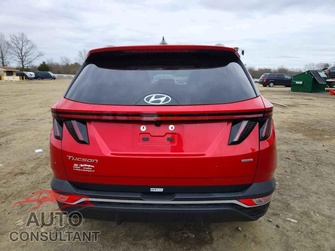 HYUNDAI TUCSON 2023 - 5NMJFCAE2PH252468