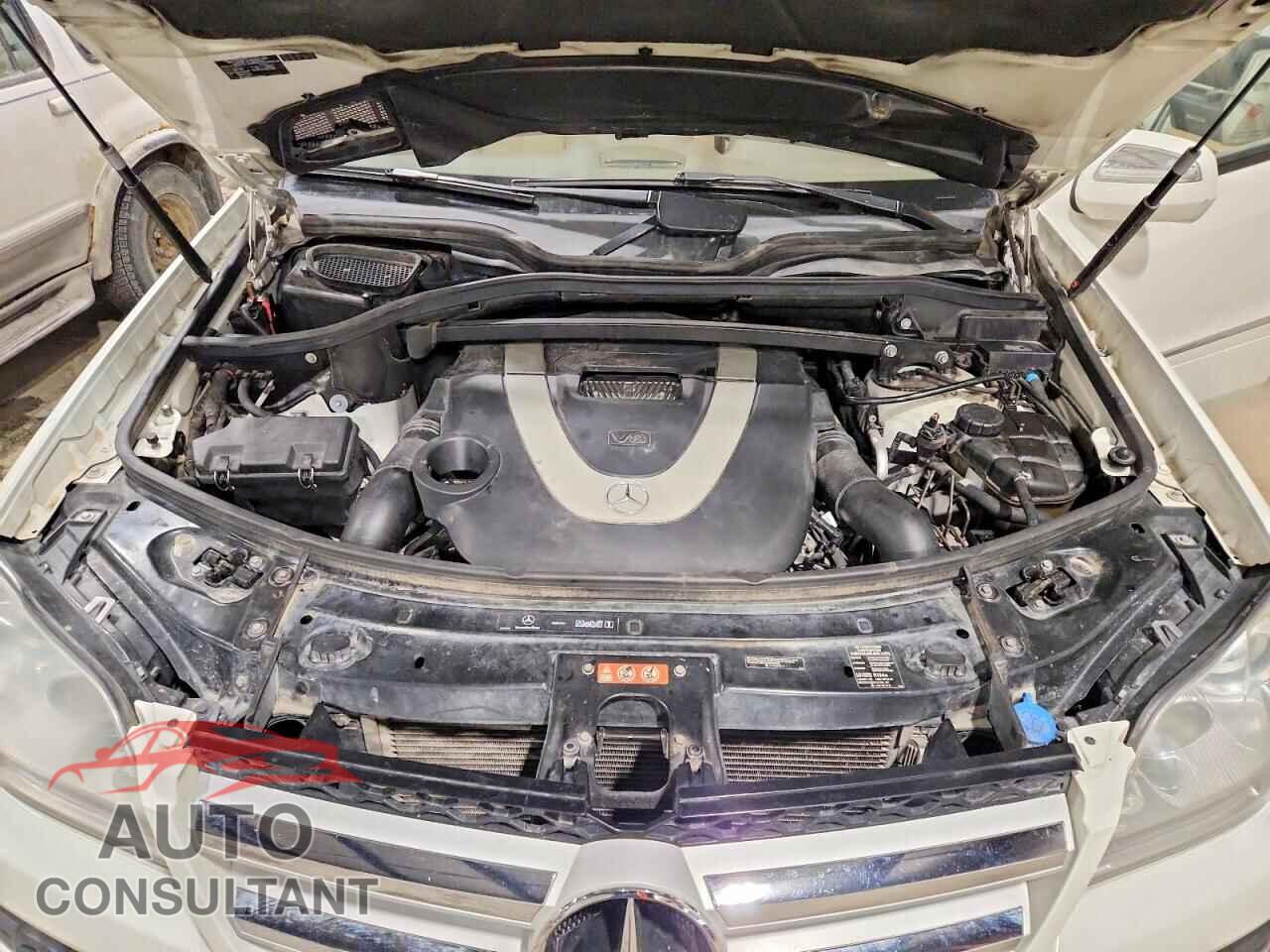 MERCEDES-BENZ GL-CLASS 2009 - 4JGBF71E19A450138