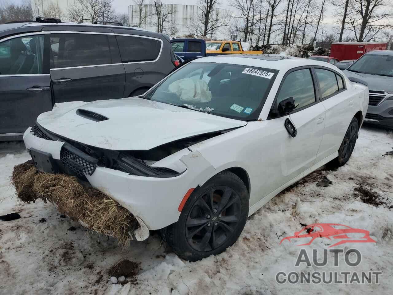 DODGE CHARGER 2020 - 2C3CDXMGXLH163678
