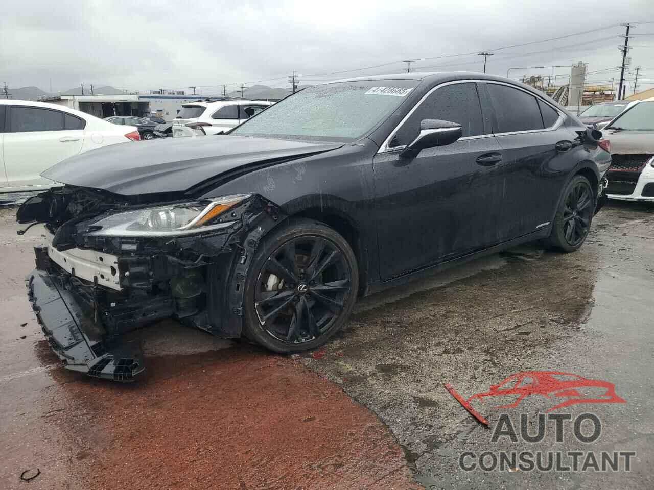 LEXUS ES300 2022 - 58ADA1C19NU021166