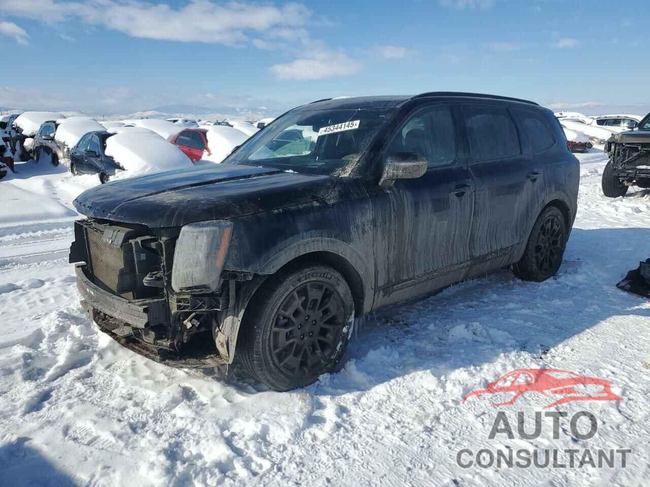KIA TELLURIDE 2021 - 5XYP5DHC4MG186986