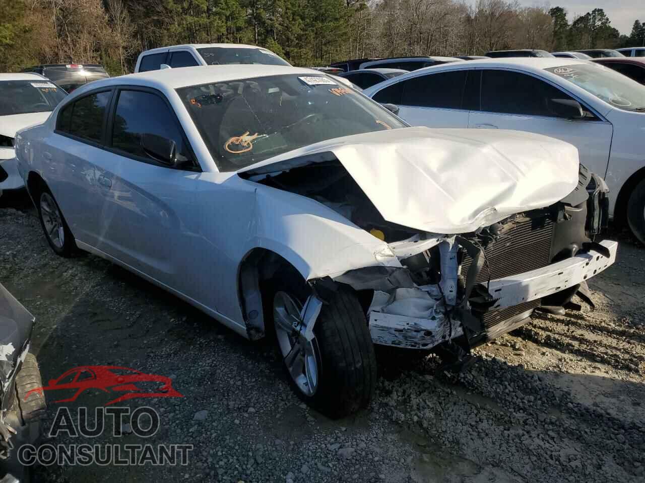 DODGE CHARGER 2023 - 2C3CDXBGXPH674560