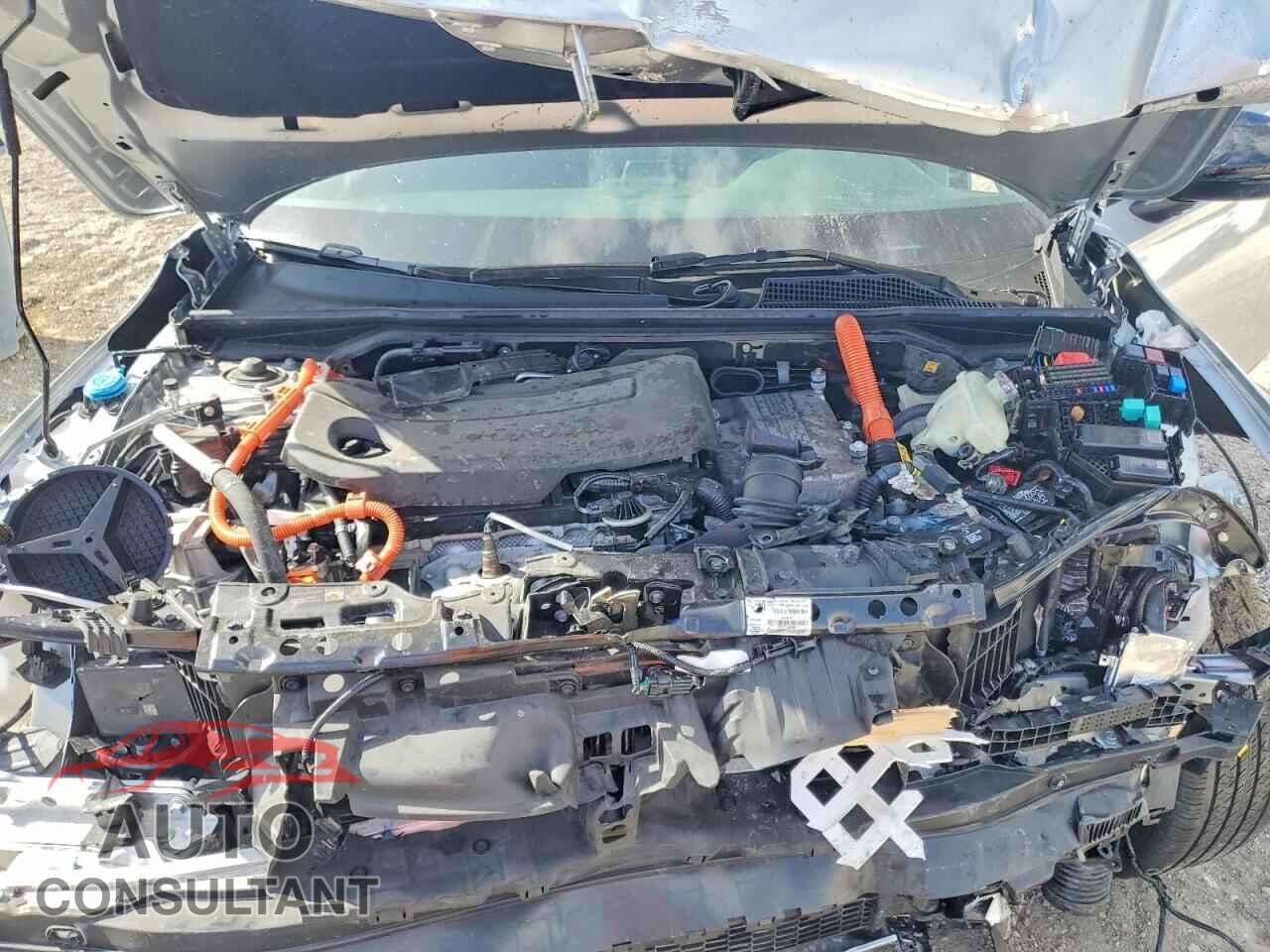 HONDA CIVIC 2025 - 2HGFE4F87SH317841