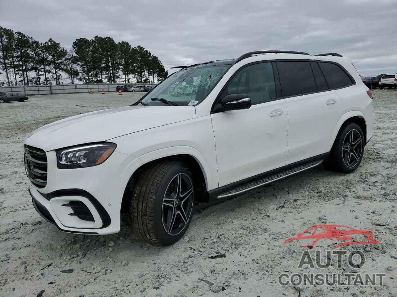 MERCEDES-BENZ GLS-CLASS 2025 - 4JGFF5KE5SB316219