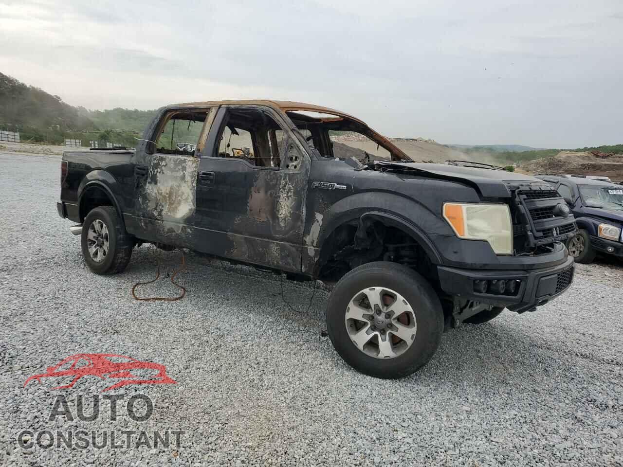 FORD F-150 2013 - 1FTFW1EF0DFD62389