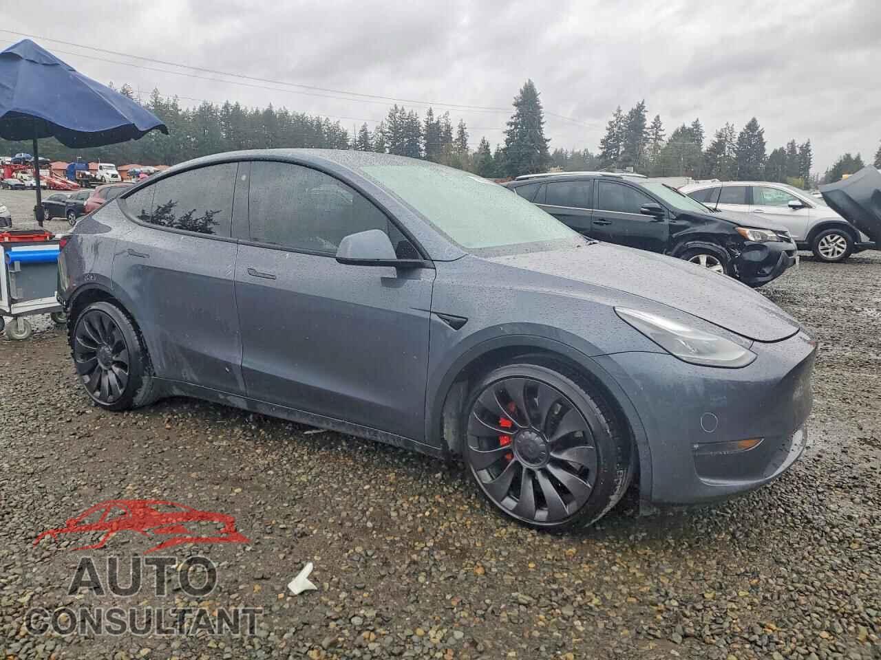 TESLA MODEL Y 2022 - 7SAYGDEFXNF443903