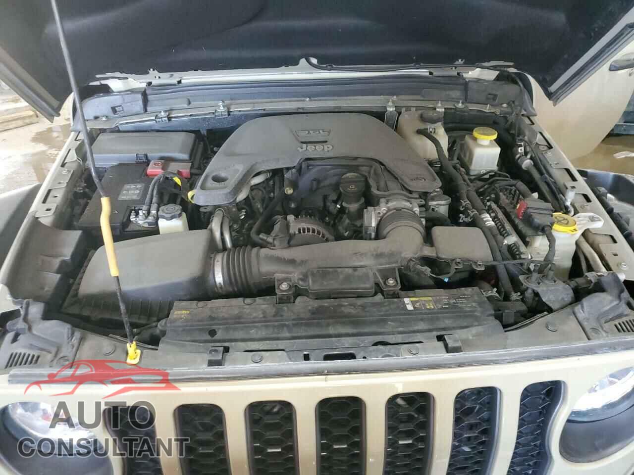 JEEP GLADIATOR 2020 - 1C6JJTEGXLL215260