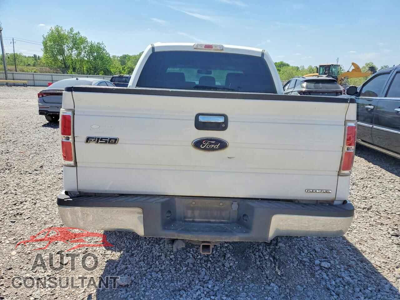 FORD F150 2013 - 1FTFW1CFXDFD08049