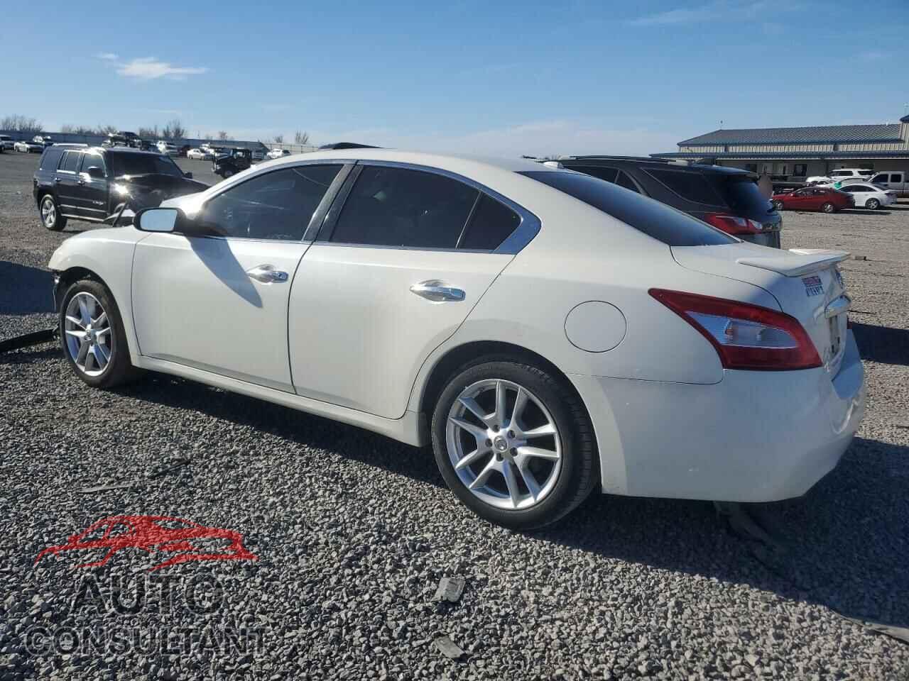 NISSAN MAXIMA 2010 - 1N4AA5AP8AC817183