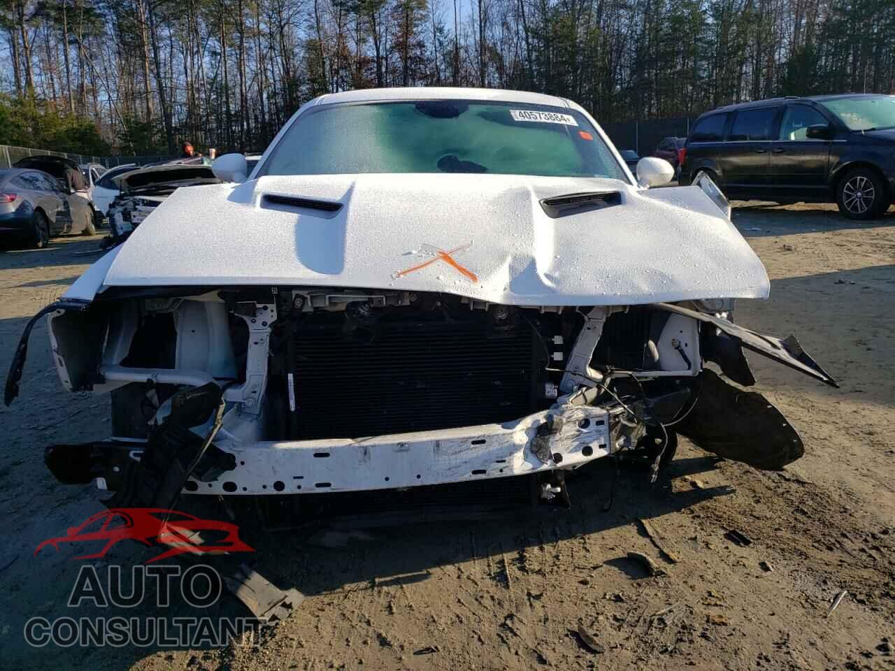 DODGE CHALLENGER 2019 - 2C3CDZAG5KH744522