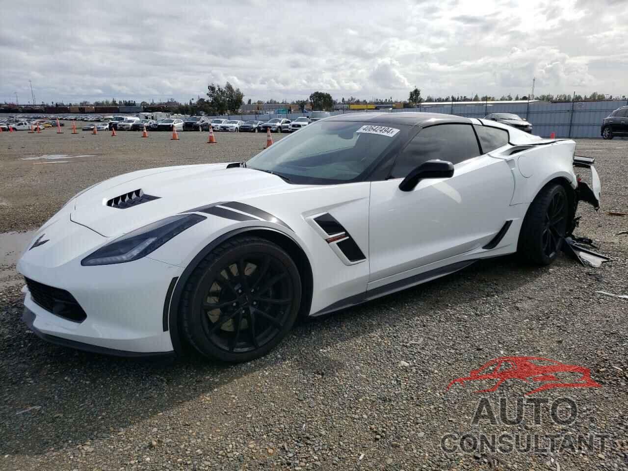 CHEVROLET CORVETTE 2019 - 1G1YW2D72K5119350