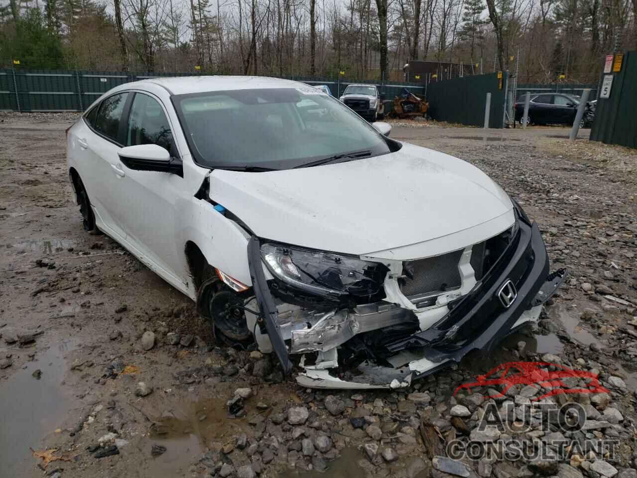 HONDA CIVIC 2019 - 2HGFC2F68KH571695