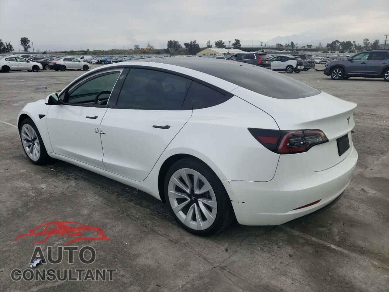 TESLA MODEL 3 2022 - 5YJ3E1EA8NF174624