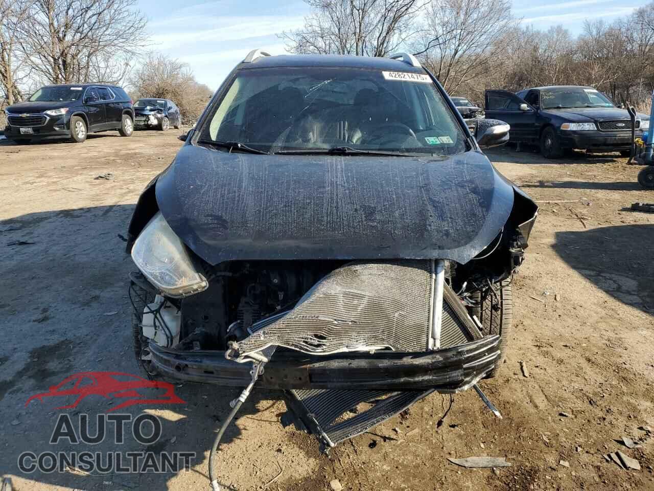 HYUNDAI TUCSON 2013 - KM8JUCAC2DU710823