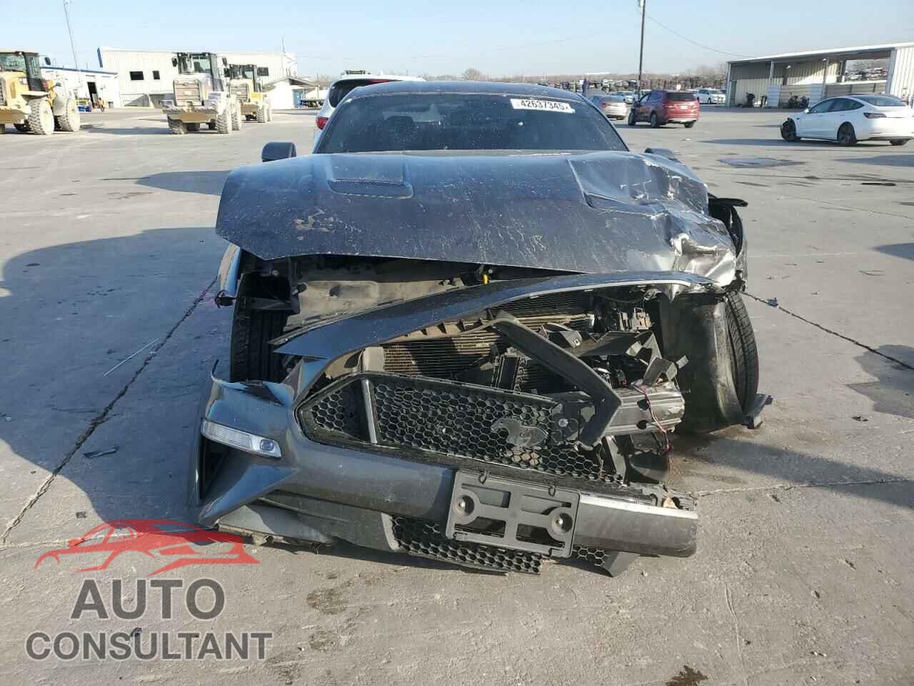 FORD MUSTANG 2019 - 1FA6P8CF7K5151188