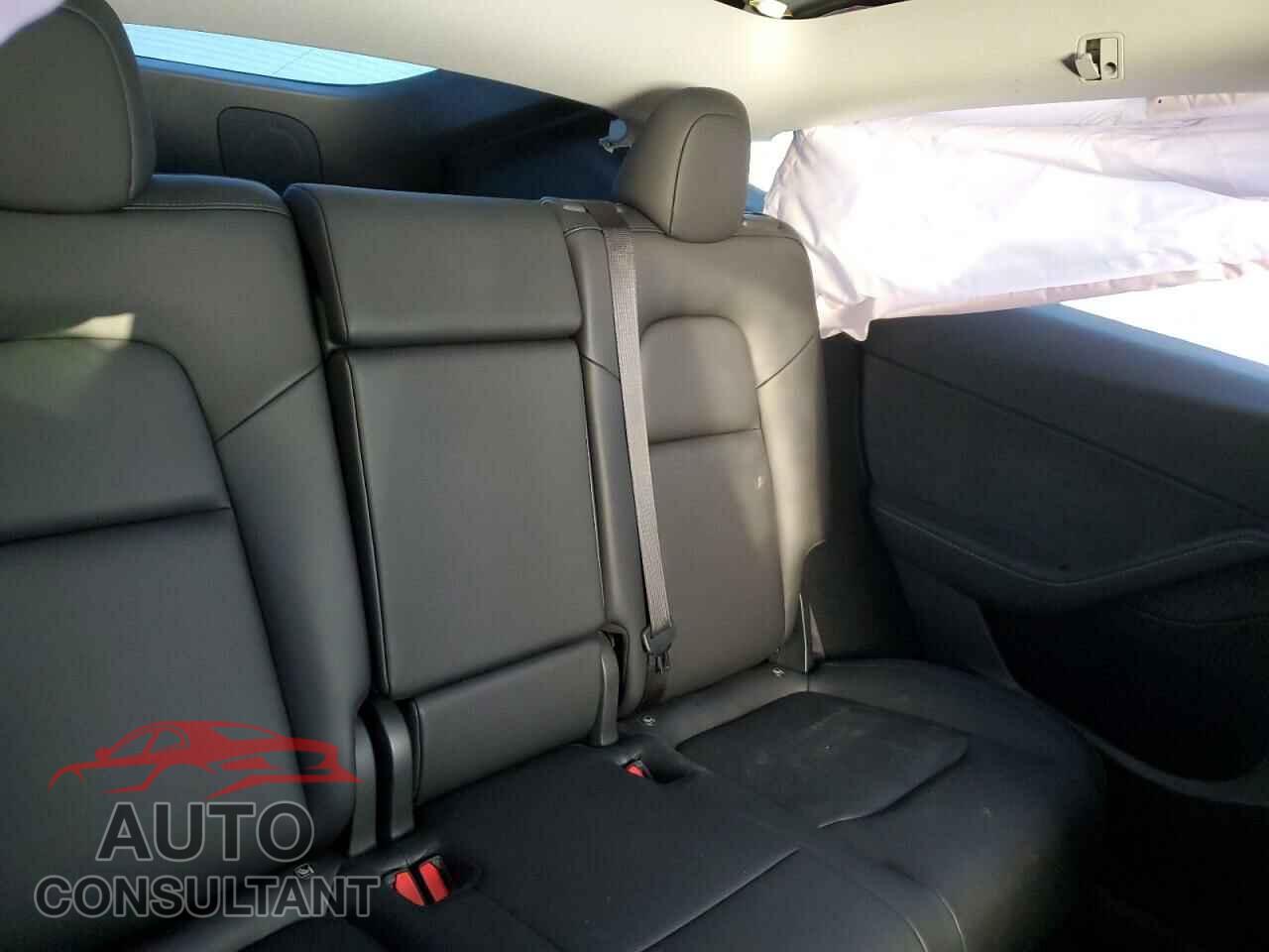 TESLA MODEL Y 2024 - 7SAYGDEF8RF034384