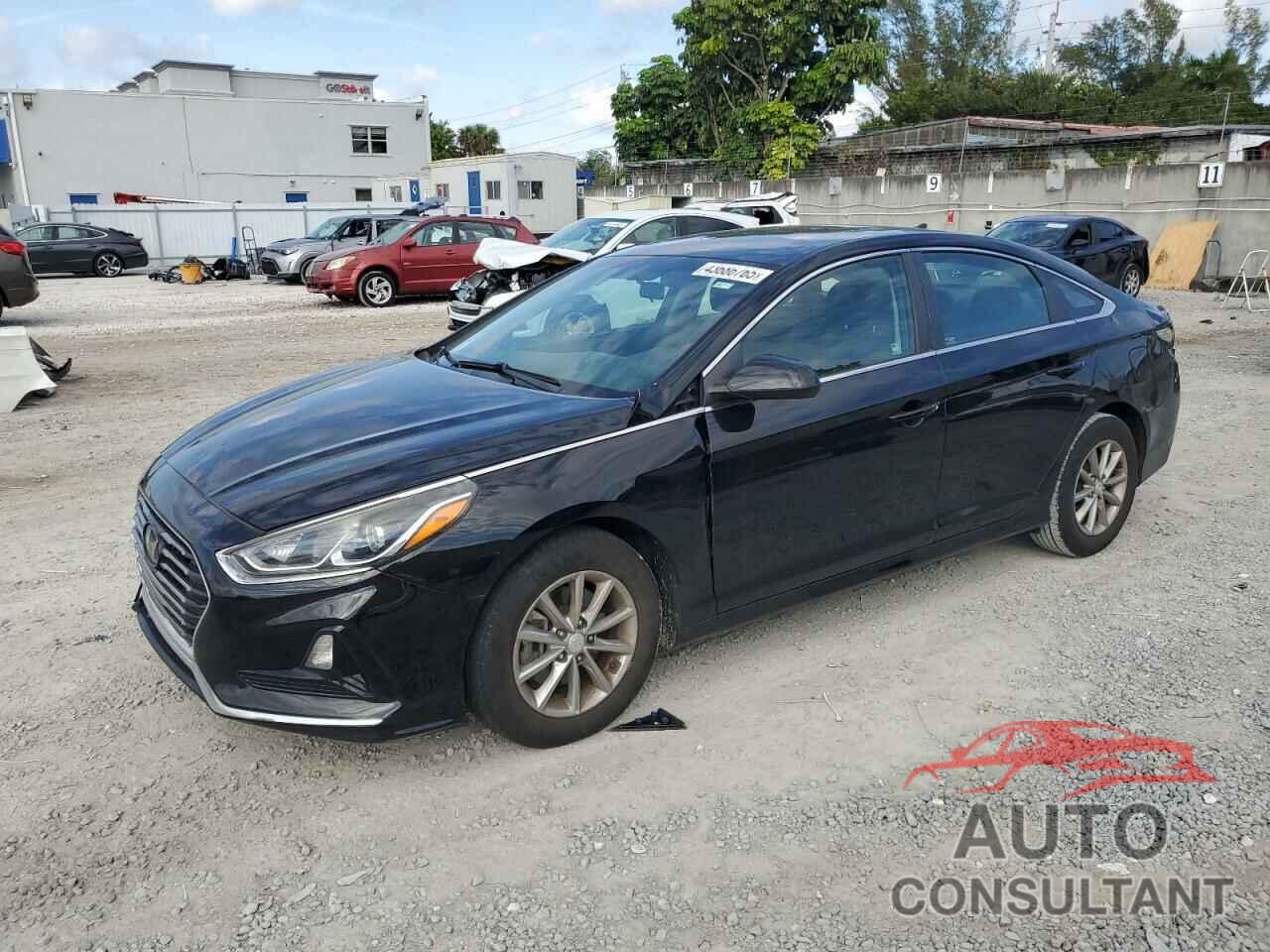 HYUNDAI SONATA 2019 - 5NPE24AF4KH751845