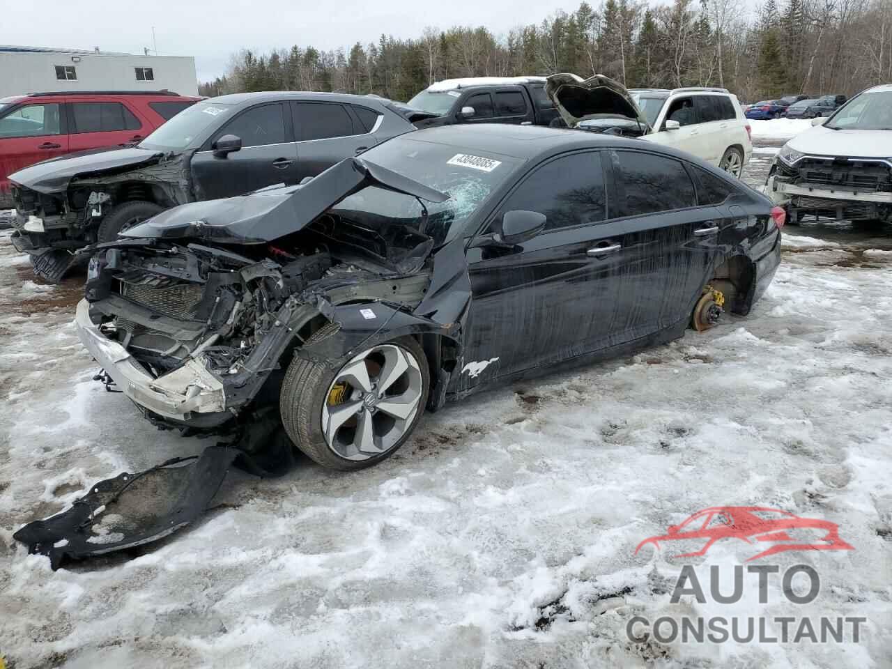 HONDA ACCORD 2019 - 1HGCV1F9XKA802337