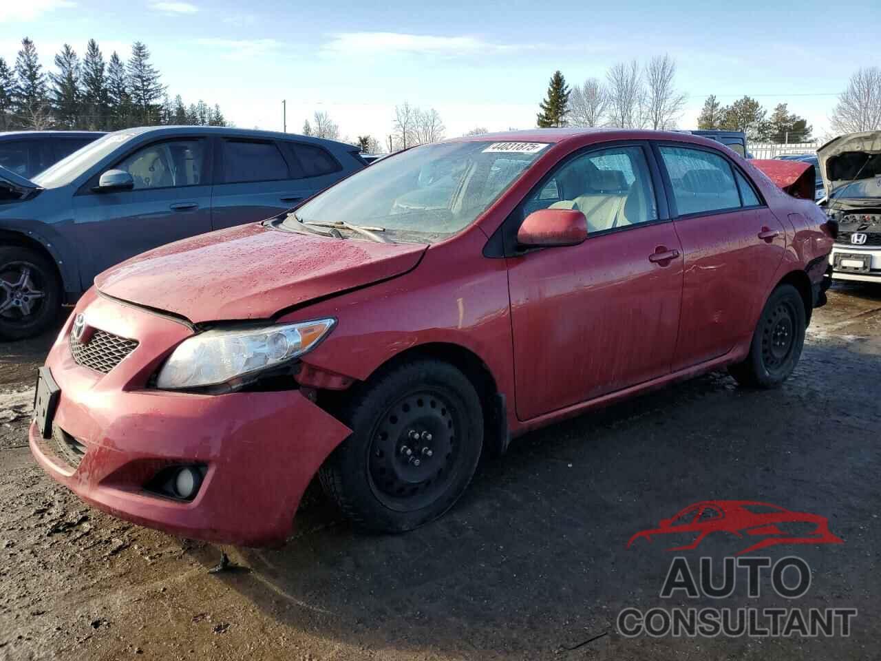 TOYOTA COROLLA 2010 - 2T1BU4EE4AC385403