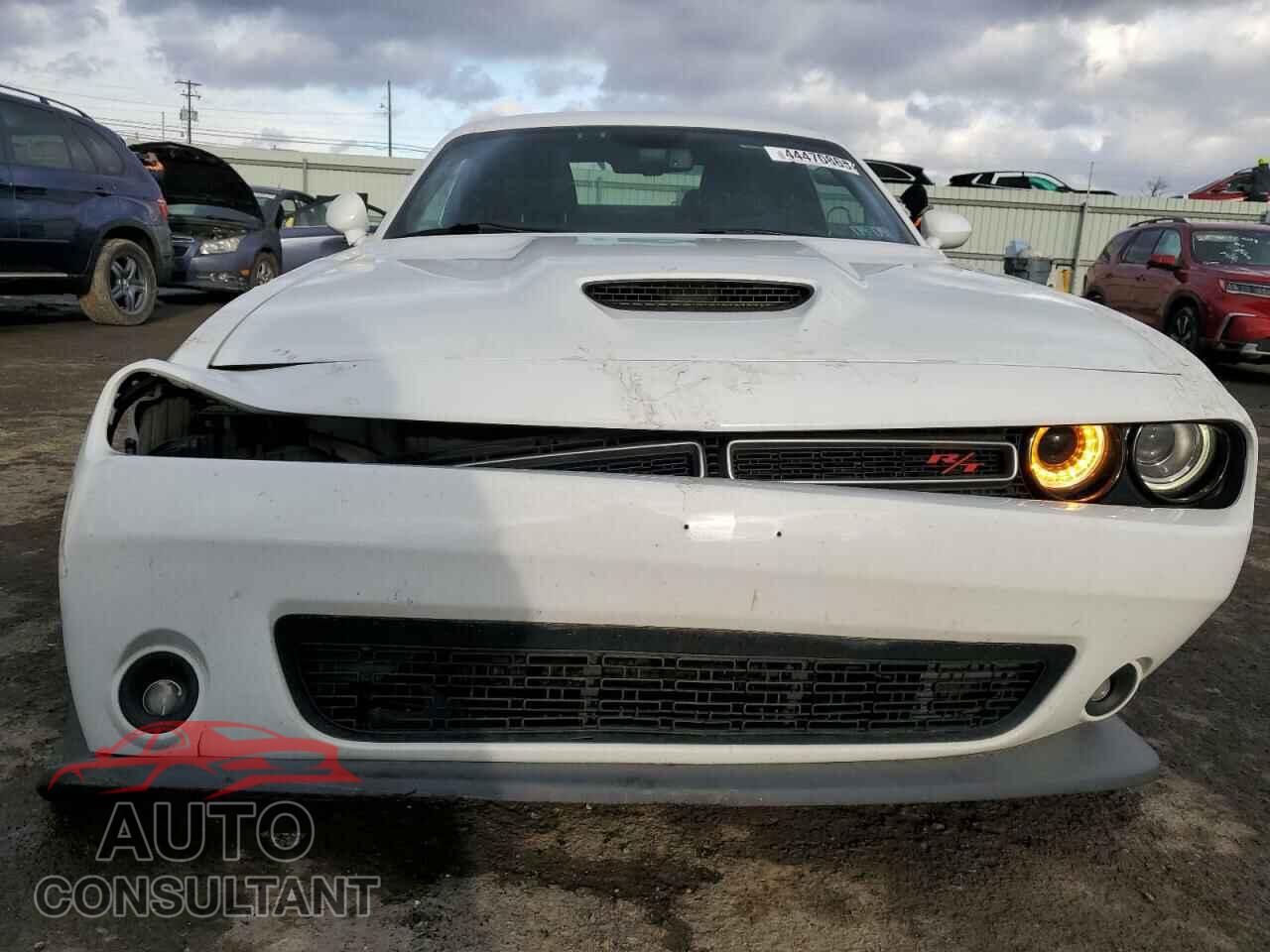 DODGE CHALLENGER 2019 - 2C3CDZBT5KH524955