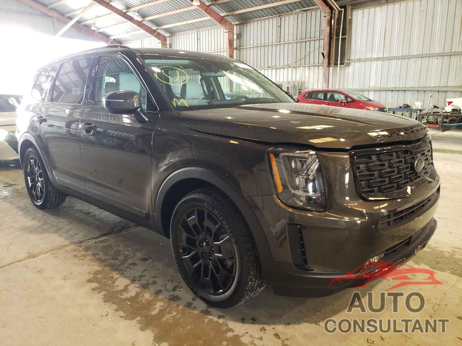 KIA TELLURIDE 2021 - 5XYP5DHC4MG185529