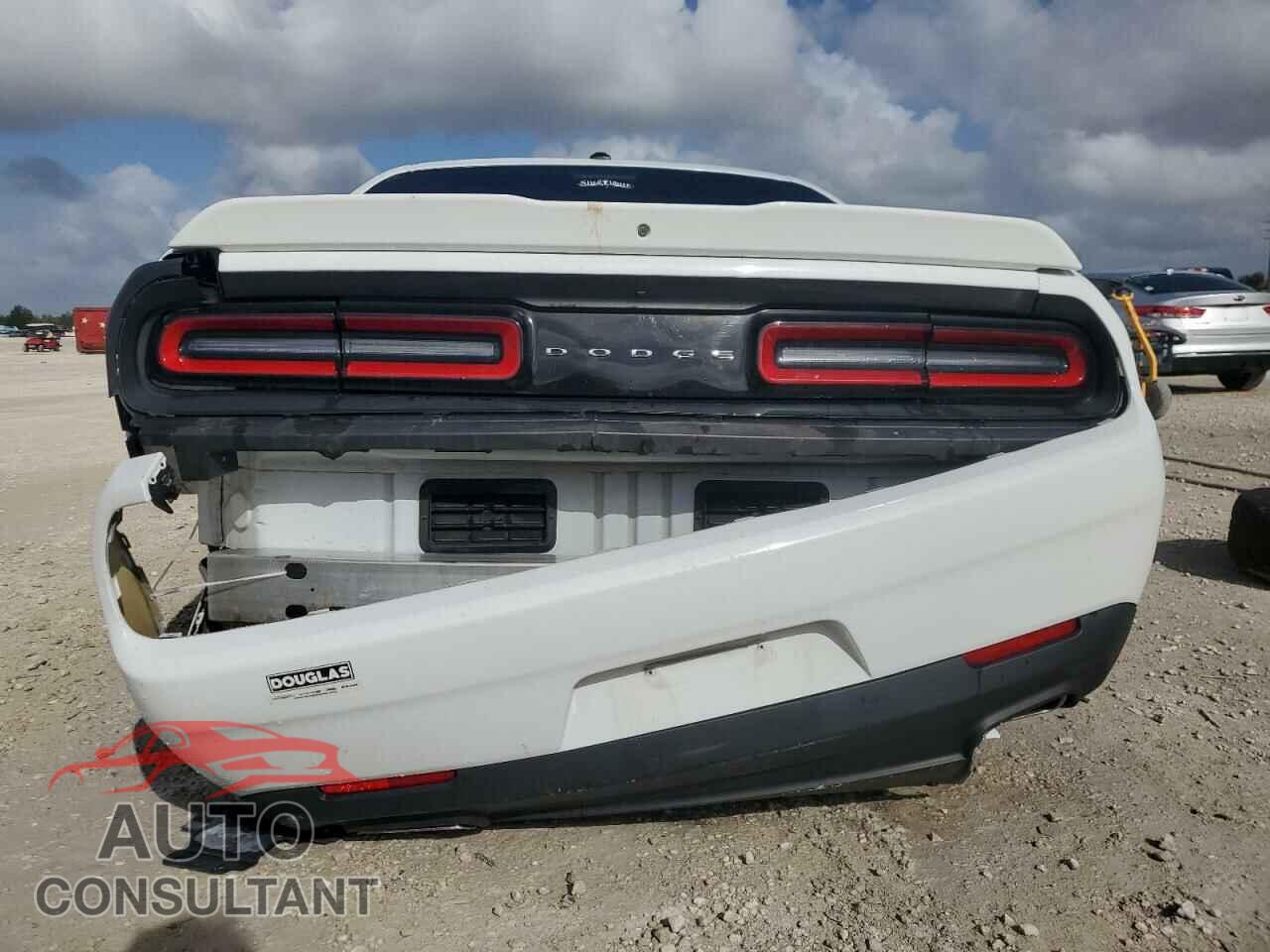 DODGE CHALLENGER 2019 - 2C3CDZAG0KH587157