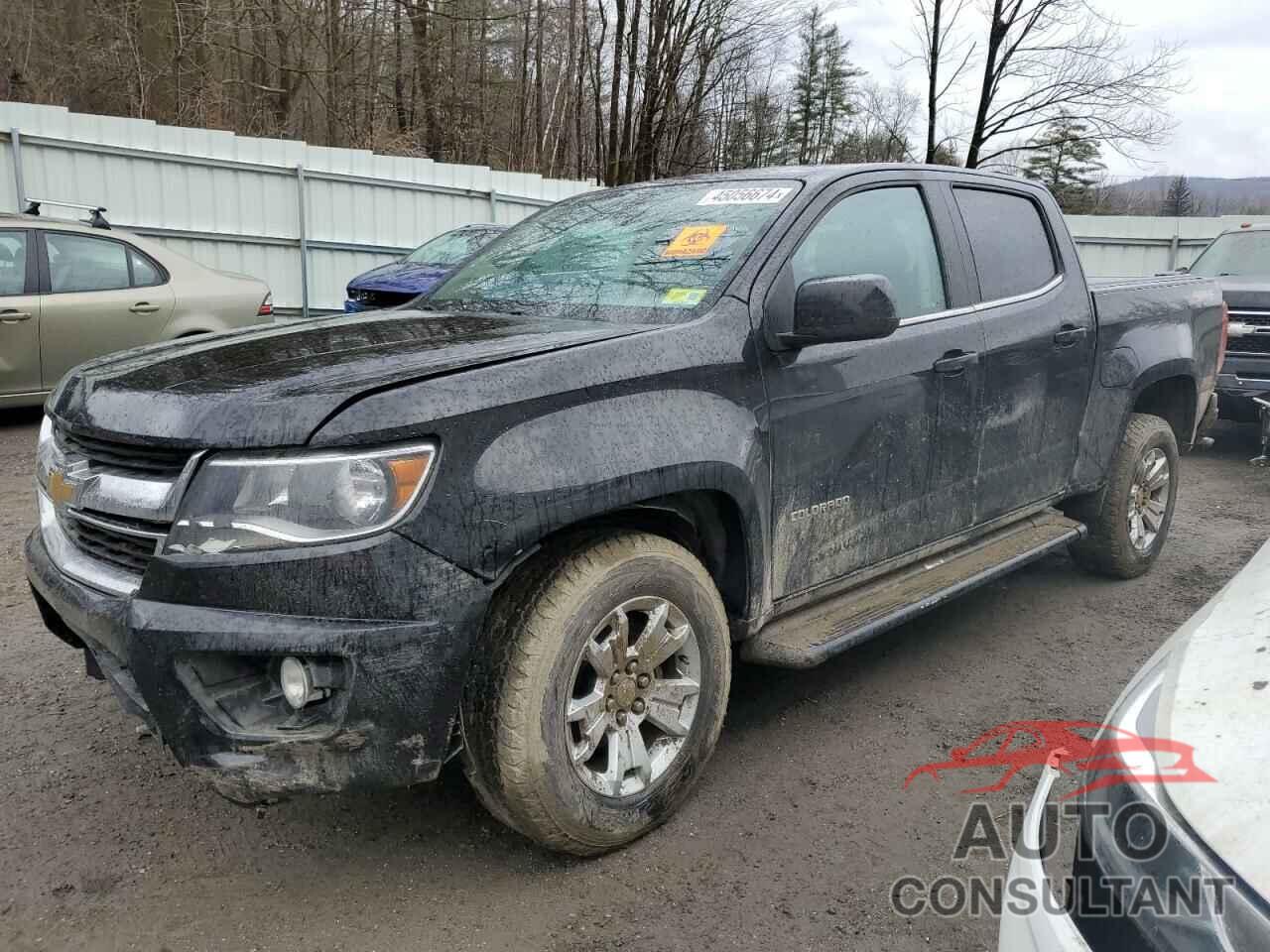 CHEVROLET COLORADO 2019 - 1GCGTCEN6K1321856