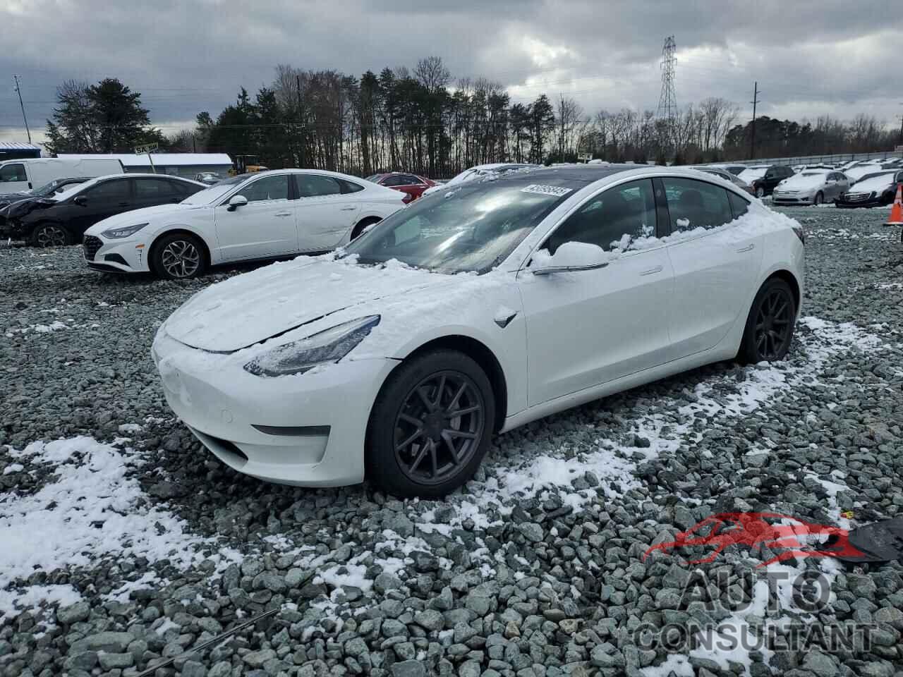 TESLA MODEL 3 2020 - 5YJ3E1EA2LF737423