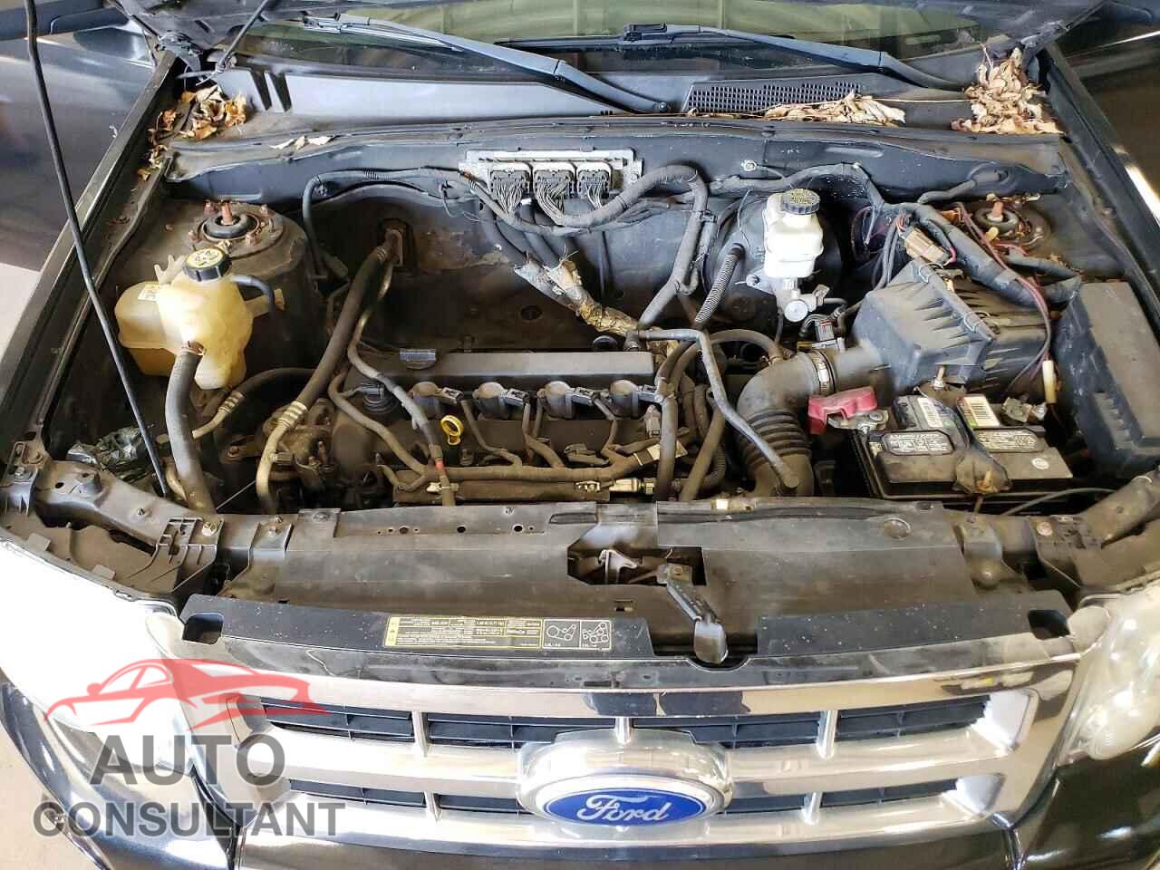 FORD ESCAPE 2011 - 1FMCU0D72BKA51138