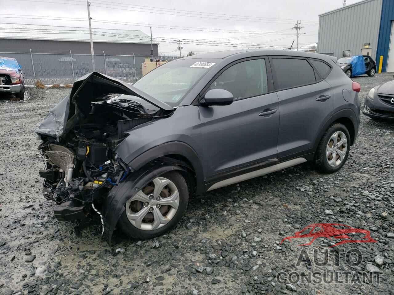 HYUNDAI TUCSON 2017 - KM8J2CA41HU516983