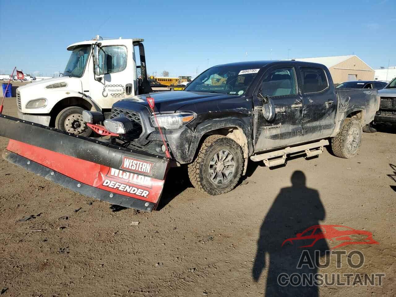 TOYOTA TACOMA 2022 - 3TYCZ5AN7NT098561