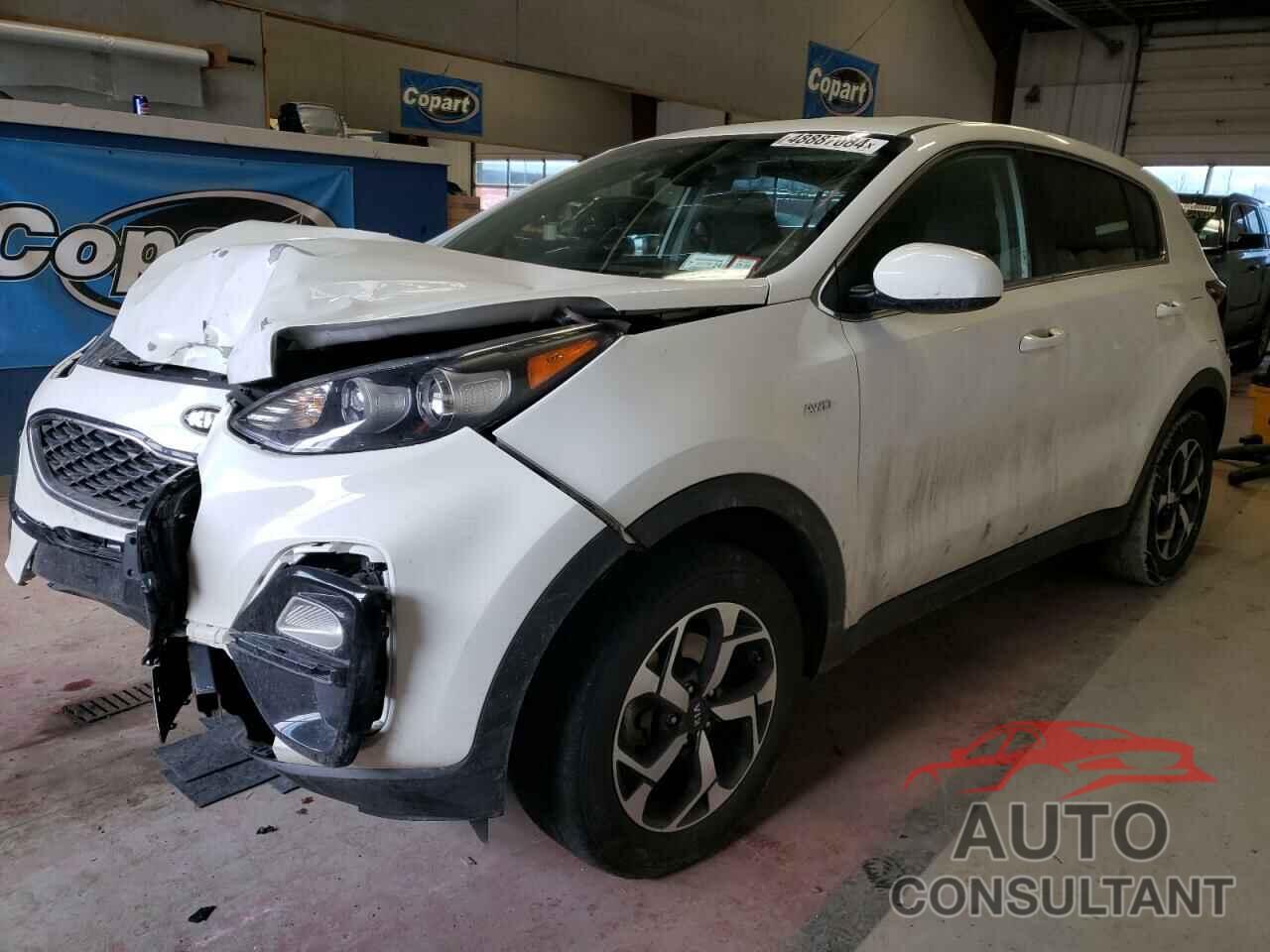 KIA SPORTAGE 2020 - KNDPMCAC6L7698848