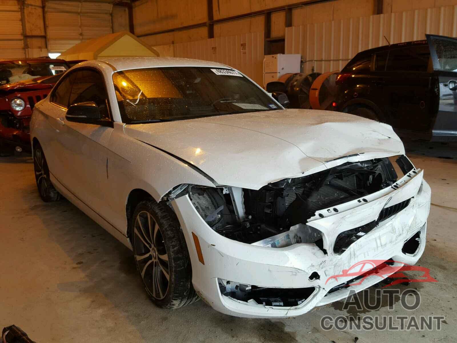 BMW 228 I 2016 - WBA1F9C52GV546520