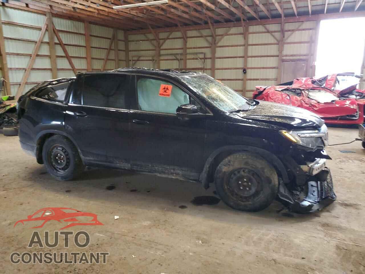 HONDA PILOT 2019 - 5FNYF6H77KB501283